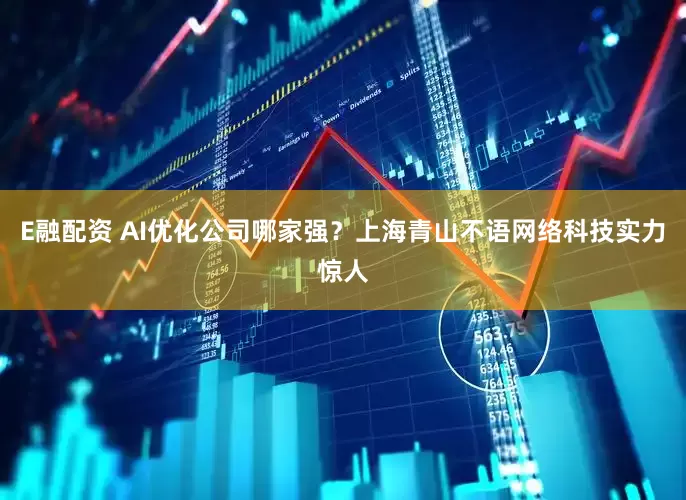 E融配资 AI优化公司哪家强？上海青山不语网络科技实力惊人