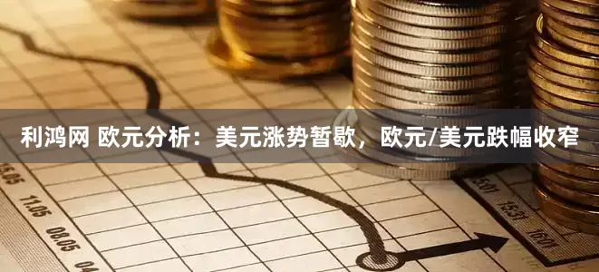 利鸿网 欧元分析:美元涨势暂歇,欧元/美元跌幅收窄